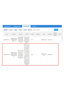 DMF CHINA No. B20240000073